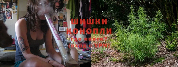 шишки Армянск